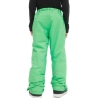 Pantalon de ski Vert Garçon O'Neill Hammer Pants