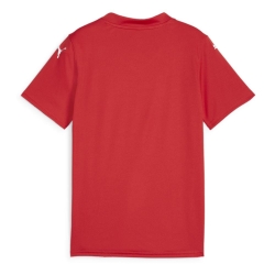 Maillot de football Rouge Garçon Puma Teamglory Jersey Jr
