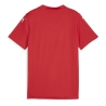 Maillot de football Rouge Garçon Puma Teamglory Jersey Jr