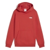 Sweat Rouge Garçon Puma Small