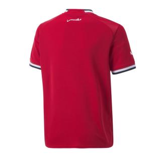 Egypte Maillot Réplica Domicile Junior Puma 2022/2023
