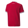 Egypte Maillot Réplica Domicile Junior Puma 2022/2023