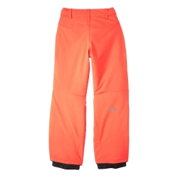 Pantalon de ski Orange Fluo Garçon O'Neill Hammer Pants