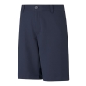 Short de Golf Marine Garçon Puma 598675