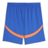 OM Short Bleu Homme Puma 775305