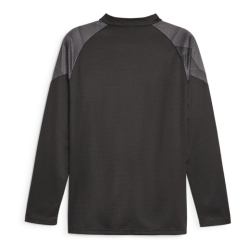 BVB Sweat de Training Noir Homme Puma 2023/24