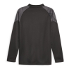 BVB Sweat de Training Noir Homme Puma 2023/24