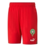 FRMF Short Rouge Homme Puma 765817