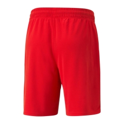 FRMF Short Rouge Homme Puma 765817