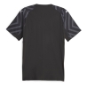 OM Maillot de Gardien Gris Homme Puma Homme 24/25