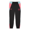 Manchester City Jogging de foot Noir Homme Puma 2024