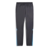 Jogging Gris/Bleu Homme Puma Om