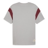 AC Milan T-shirt Gris/Bordeaux Homme Puma Ftblarchive