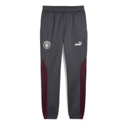 Manchester City Jogging Gris Homme Puma 2024/25