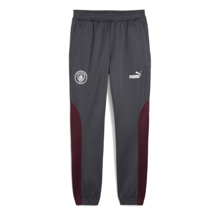 Manchester City Jogging Gris Homme Puma 2024/25