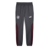 Manchester City Jogging Gris Homme Puma 2024/25