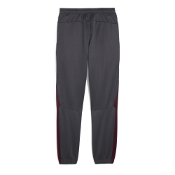 Manchester City Jogging Gris Homme Puma 2024/25