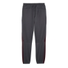 Manchester City Jogging Gris Homme Puma 2024/25