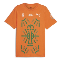 T-Shirt Orange Homme Puma Afcon