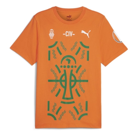 T-Shirt Orange Homme Puma Afcon