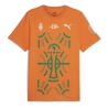 T-Shirt Orange Homme Puma Afcon