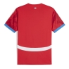 République Tchèque Maillot Réplica Domicile Puma 2023/2024