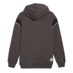 Dortmund Sweat Gris Homme Puma 2024