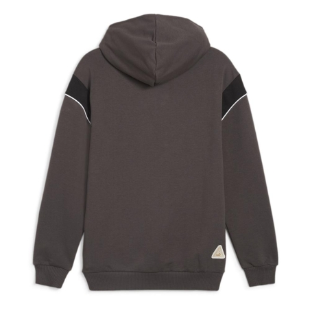 Dortmund Sweat Gris Homme Puma 2024