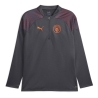 Manchester City Sweat 1/4 Gris Homme Puma 2023/2024
