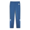 Manchester City Pantalon d'entraînement Bleu Homme Puma 23/24