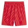 OM Short Réplica de Gardien Rouge Homme Puma 24/25