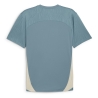 OM Maillot Training Bleu/Beige Homme Puma 24/25