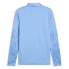 Sweat d'entraînement Bleu Homme Puma Teamcup Training 1/4
