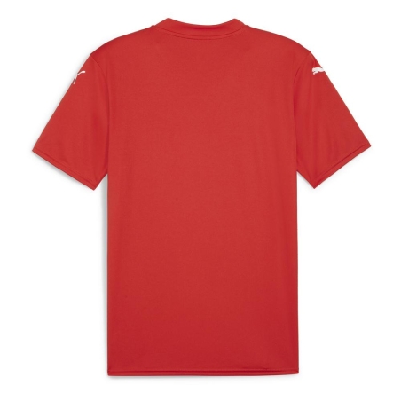 Maillot de Football Rouge Homme Puma Teamglory Jersey