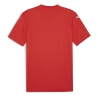 Maillot de Football Rouge Homme Puma Teamglory Jersey