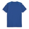 OM Maillot Authentique Extérieur Homme Puma 23/24