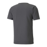 Maillot Gris/Noir Homme Puma Indrise