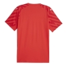OM Maillot de Gardien Rouge Homme Puma Homme 24/25