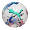 Ballon de Foot Blanc/Vert Puma Orbita 6