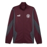 Manchester City Veste Bordeaux Homme Puma 24/25