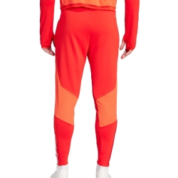 Bayern Munich Pantalon Training Rouge Homme Adidas 23/24