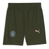 Manchester City Short Training Kaki Homme Puma 24/25
