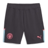 Manchester City Short Noir Homme Puma Casuals