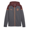 Manchester City Sweat Zippé Grise Homme Puma Casuals Hooded