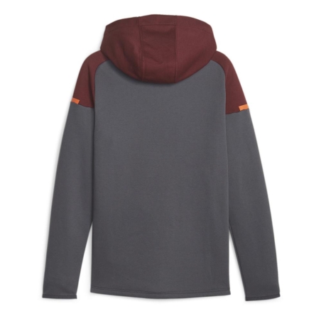 Manchester City Sweat Zippé Grise Homme Puma Casuals Hooded