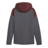 Manchester City Sweat Zippé Grise Homme Puma Casuals Hooded