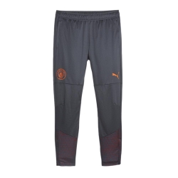 MANCHESTER CITY Pantalon de foot Gris Homme Puma 772864