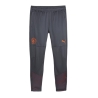 MANCHESTER CITY Pantalon de foot Gris Homme Puma 772864