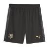 Stade Rennais Short de foot Noir/Gris Homme Puma 2023/24
