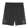 Stade Rennais Short de foot Noir/Gris Homme Puma 2023/24
